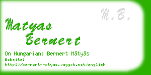 matyas bernert business card
