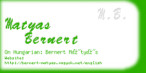 matyas bernert business card
